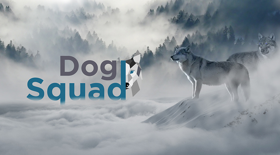 https://dev.duinweb.nl/projecten/mdesigns/project/website-dog-squad/